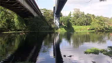 Una persona muere y otras resultan heridas en un accidente