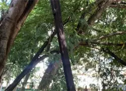 Alcald&iacute;a Distrito Nacional a&uacute;n no responde por uso irregular de parqueos de Serrall&eacute;s