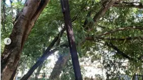 Alcald&iacute;a Distrito Nacional a&uacute;n no responde por uso irregular de parqueos de Serrall&eacute;s