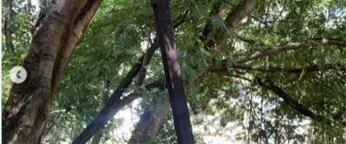 Alcald&iacute;a Distrito Nacional a&uacute;n no responde por uso irregular de parqueos de Serrall&eacute;s