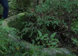 Fosa de Guavaberry abre conjeturas e interrogantes