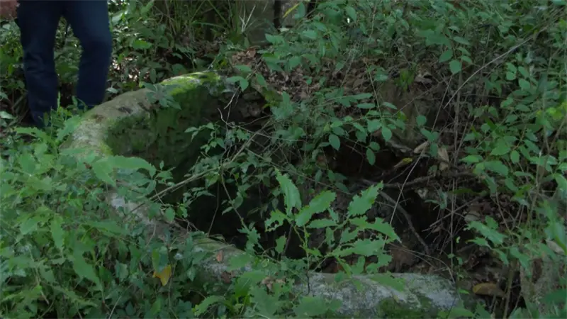 Fosa de Guavaberry abre conjeturas e interrogantes