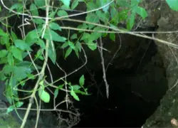 Mujer condenada por muerte de choferes busca beneficio