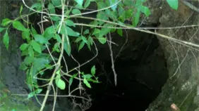 Mujer condenada por muerte de choferes busca beneficio