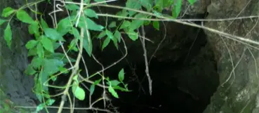 Mujer condenada por muerte de choferes busca beneficio