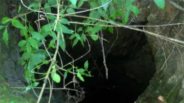 Mujer condenada por muerte de choferes busca beneficio