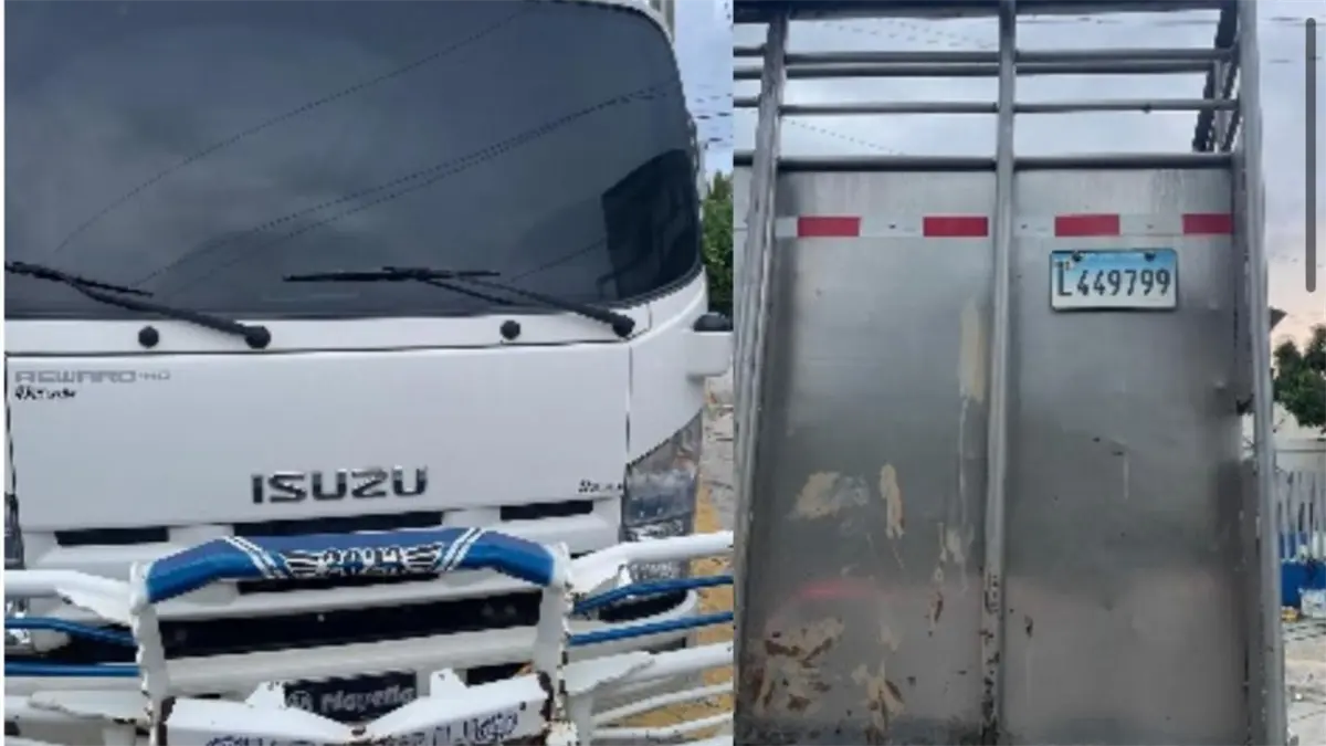 Recuperan 18 vacas robadas en Higüey y apresan a cuatro hombres