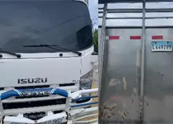 Recuperan 18 vacas robadas en Hig&uuml;ey y apresan a cuatro hombres