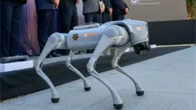 Perros robots reforzar&aacute;n la seguridad durante los partidos del Mundial en norte de M&eacute;xico
