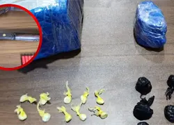 Polic&iacute;a Nacional y Ministerio P&uacute;blico realizan allanamientos en Polo, Barahona