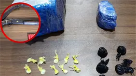 Polic&iacute;a Nacional y Ministerio P&uacute;blico realizan allanamientos en Polo, Barahona