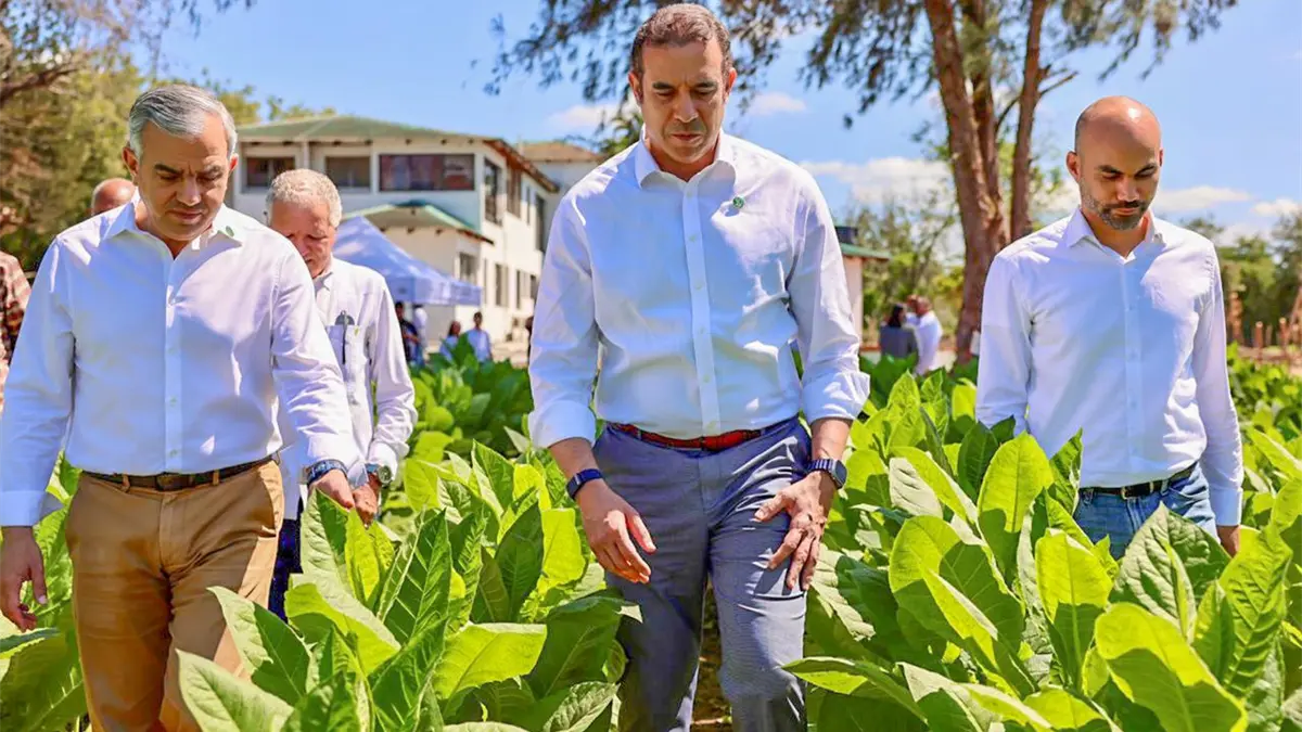 Intabaco: Exportaciones de RD se incrementaron más de 1,000 millones de pesos en 2025