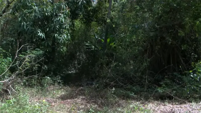 Guavaberry Golf Club aclara que hallazgo de tres cad&aacute;veres en 2016 no ocurri&oacute; dentro del proyecto