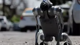 La IA asusta a Hollywood, perros robot en el Mundial y otros clics tecnol&oacute;gicos en Am&eacute;rica
