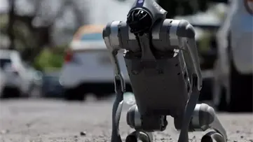 La IA asusta a Hollywood, perros robot en el Mundial y otros clics tecnológicos en América