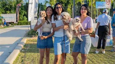Nuevo parque canino The Paw Zone se estrena en Playa Nueva Romana