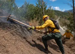 Ministerio de Medio Ambiente rinde informe sobre gesti&oacute;n y avances en protecci&oacute;n ambiental