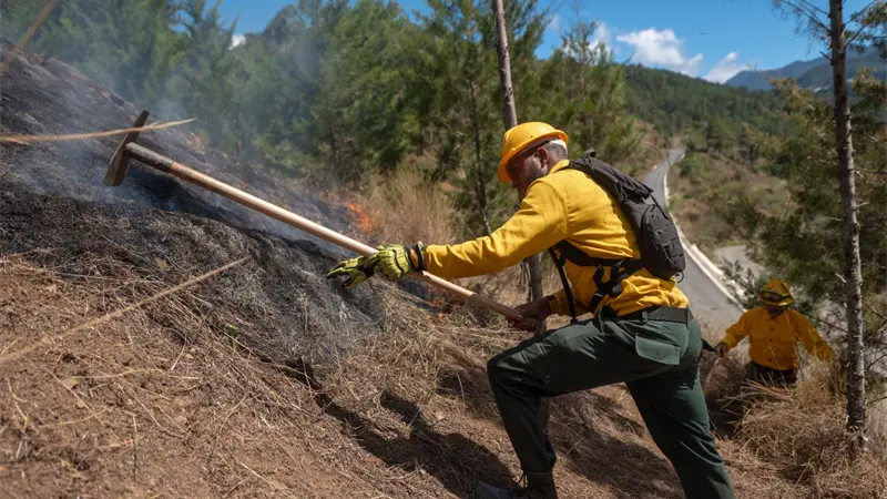 Ministerio de Medio Ambiente rinde informe sobre gesti&oacute;n y avances en protecci&oacute;n ambiental