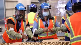 Banco Central informa aumento interanual de 133,915 nuevos ocupados netos en 2025