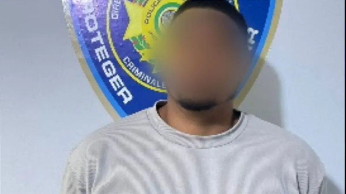 Arrestan hombre acusado de estafa con falsa compra de celular mediante plataforma digital en Santiago