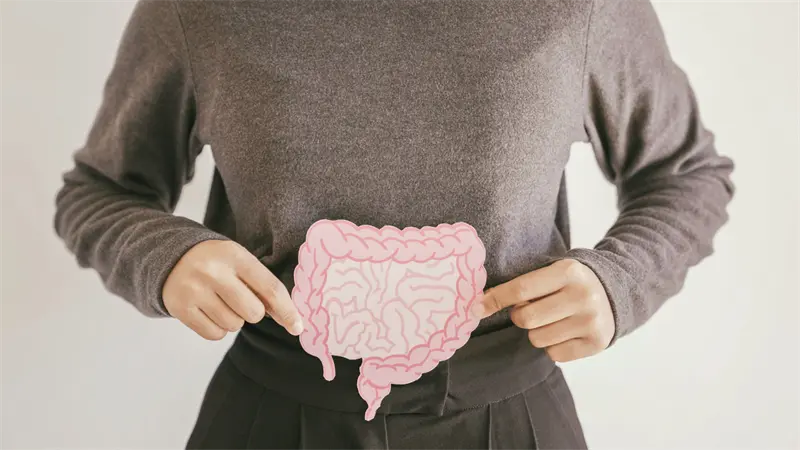 Un nuevo &iacute;ndice de salud intestinal para ayudar a rastrear enfermedades