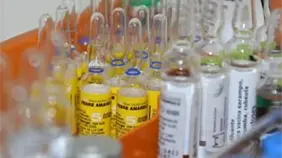 Venezuela refuerza campa&ntilde;a de vacunaci&oacute;n contra fiebre amarilla ante brote en la regi&oacute;n