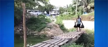 Improvisan puente con ramas y tablas para cruzar una cañada