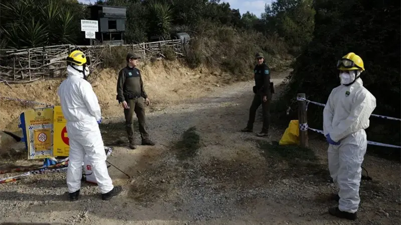 Detectan en Espa&ntilde;a un caso de gripe porcina A en una persona ajena al sector ganadero