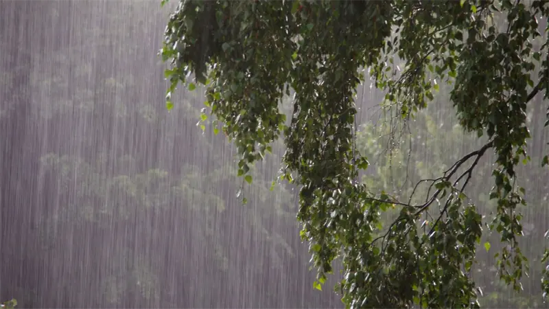 D&eacute;bil vaguada provocar&aacute; precipitaciones dispersas