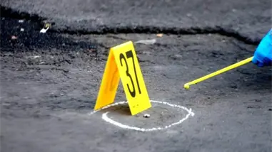 RD registra la tasa de homicidios más baja de la historia reciente, según Abinader