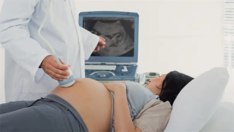 C&eacute;lulas madre y cirug&iacute;a intrauterina, un enfoque seguro para la espina b&iacute;fida