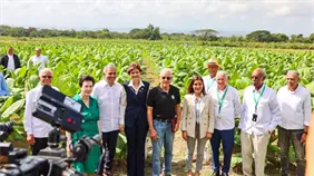 Tabaco dominicano aporta m&aacute;s de US$1,359 millones y consolida a EE.UU. como su principal mercado