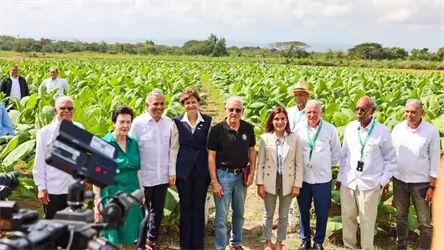 Tabaco dominicano aporta m&aacute;s de US$1,359 millones y consolida a EE.UU. como su principal mercado