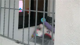 Delincuentes entran a una vivienda y se llevan hasta el bulto de un bebé en Santo Domingo Oeste Delincuentes entran a una vivienda y se llevan hasta el bulto de un bebé en Santo Domingo Oeste