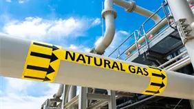 El precio del gas natural se dispara otro 22 % y supera los 53 d&oacute;lares