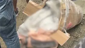 Encuentran cad&aacute;ver de mujer dentro de una caja de cart&oacute;n en San Crist&oacute;bal; Polic&iacute;a investiga