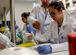 Fundaci&oacute;n Charles Darwin completa mapa gen&eacute;tico del pepino de mar en Gal&aacute;pagos