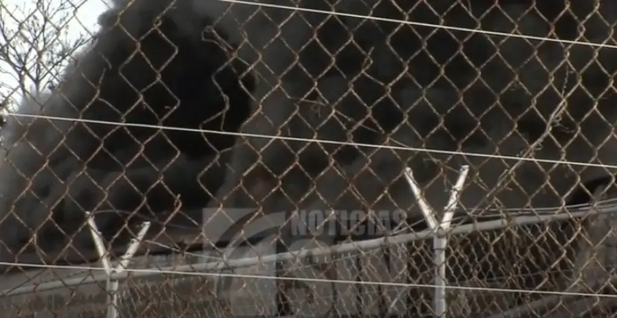 Vea aquí los últimos detalles sobre incendio que afectó instalaciones de la empresa Envases Mundial en Los Bajos de Haina