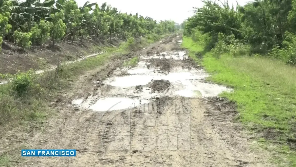 Productores reportan pérdidas por vías en mal estado