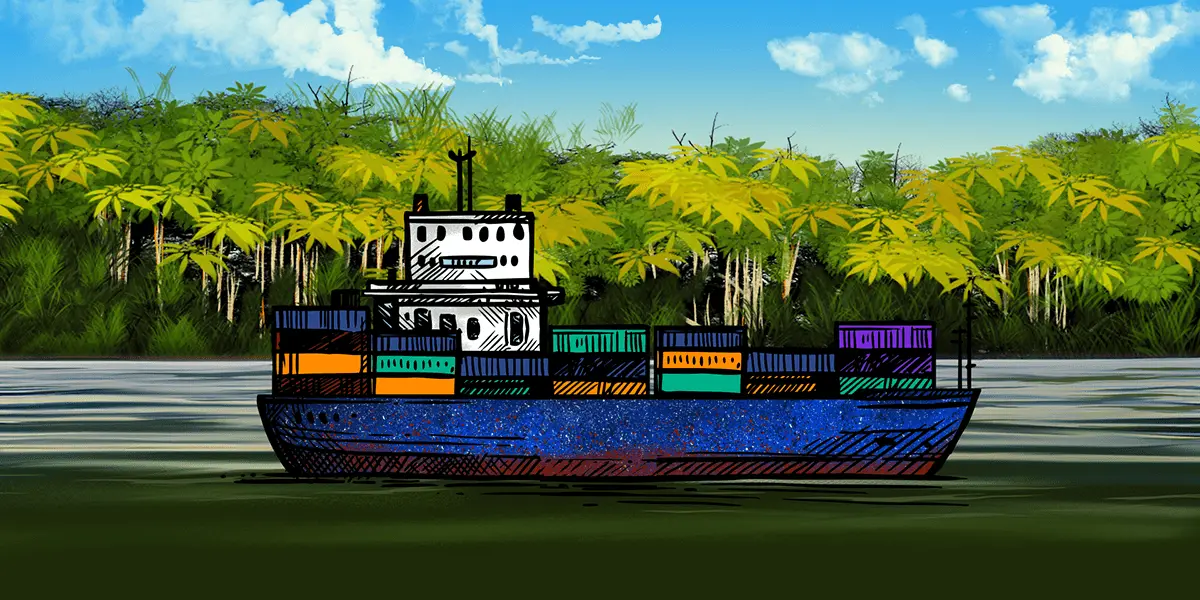 Madereros peruanos sancionados viajan a RD con su práctica