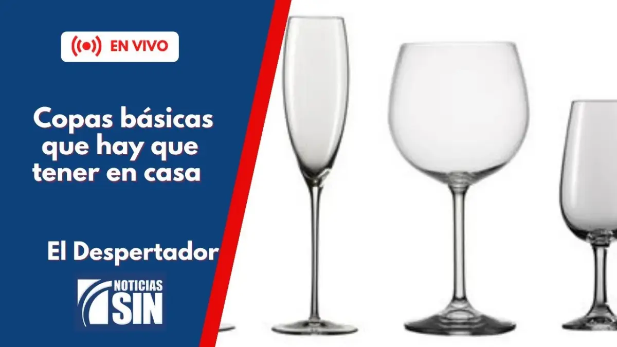 Tipos de copas básicas que hay que tener en casa
