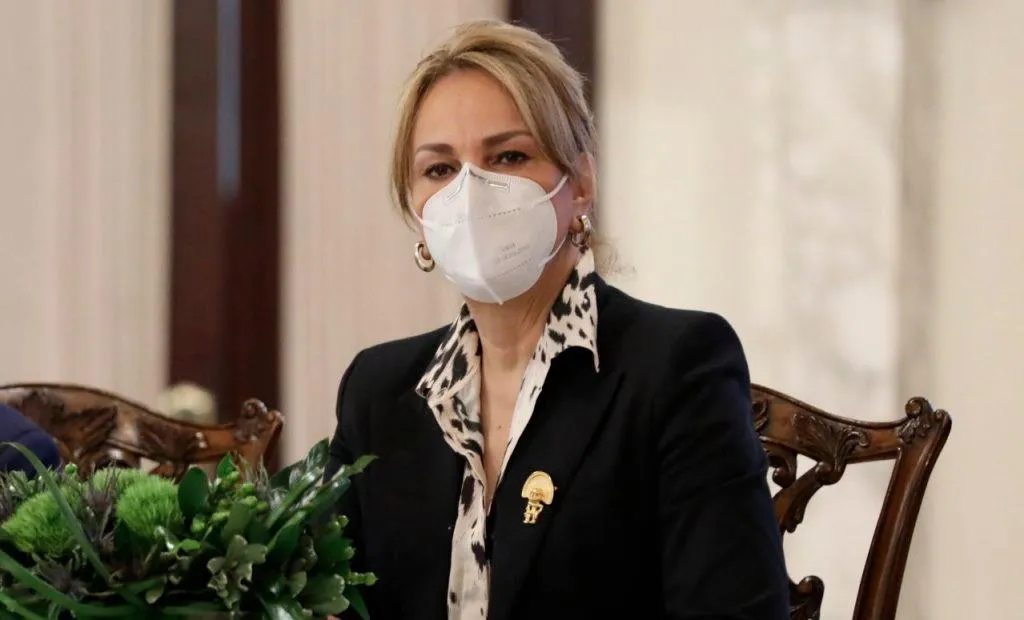 Milagros Germán pide a la Cámara de Cuentas realizar auditoría financiera al DICOM