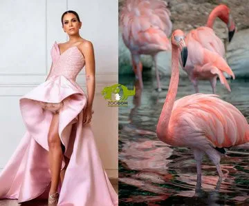 Artistas inspiran sus vestuarios para Soberano en animales del Zoológico