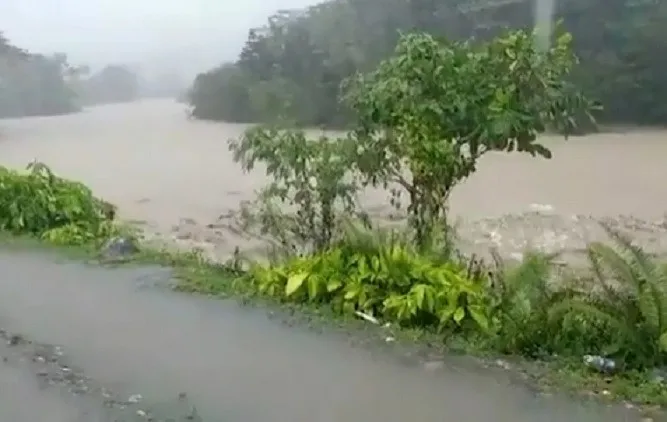 Hombre muere ahogado al intentar cruzar río junto a su caballo