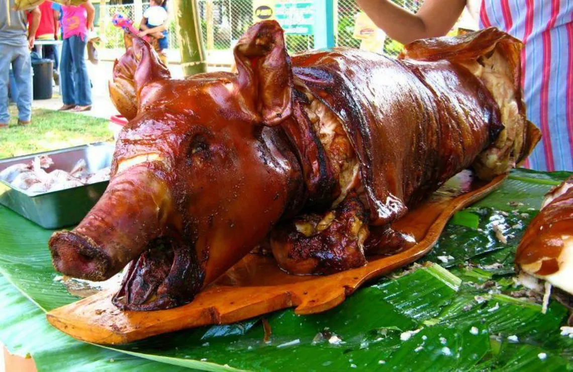 Gobierno dispone 220 millones de pesos para garantizar el cerdo de Navidad