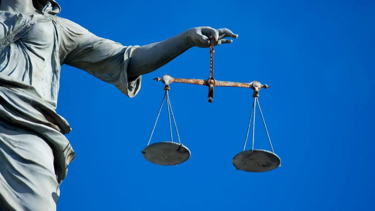 Juez obliga a padres a indemnizar a su hijo por tirar su colección porno