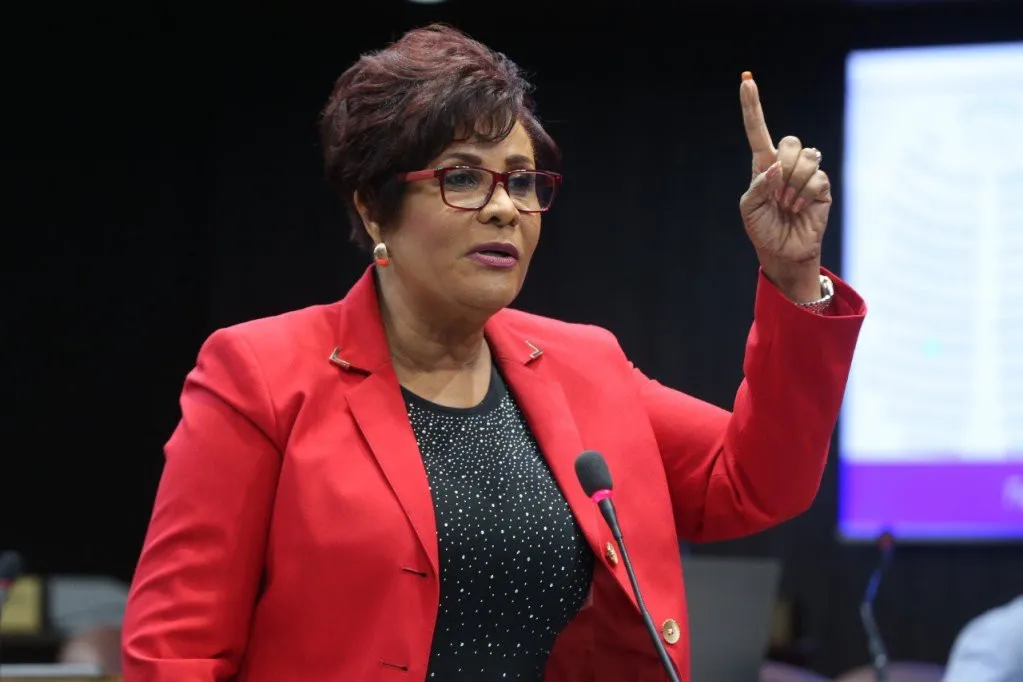 VIDEO Josefa Castillo dice a perremeistas que no hay trabajo para todos, pero que tendrán muchísimas facilidades