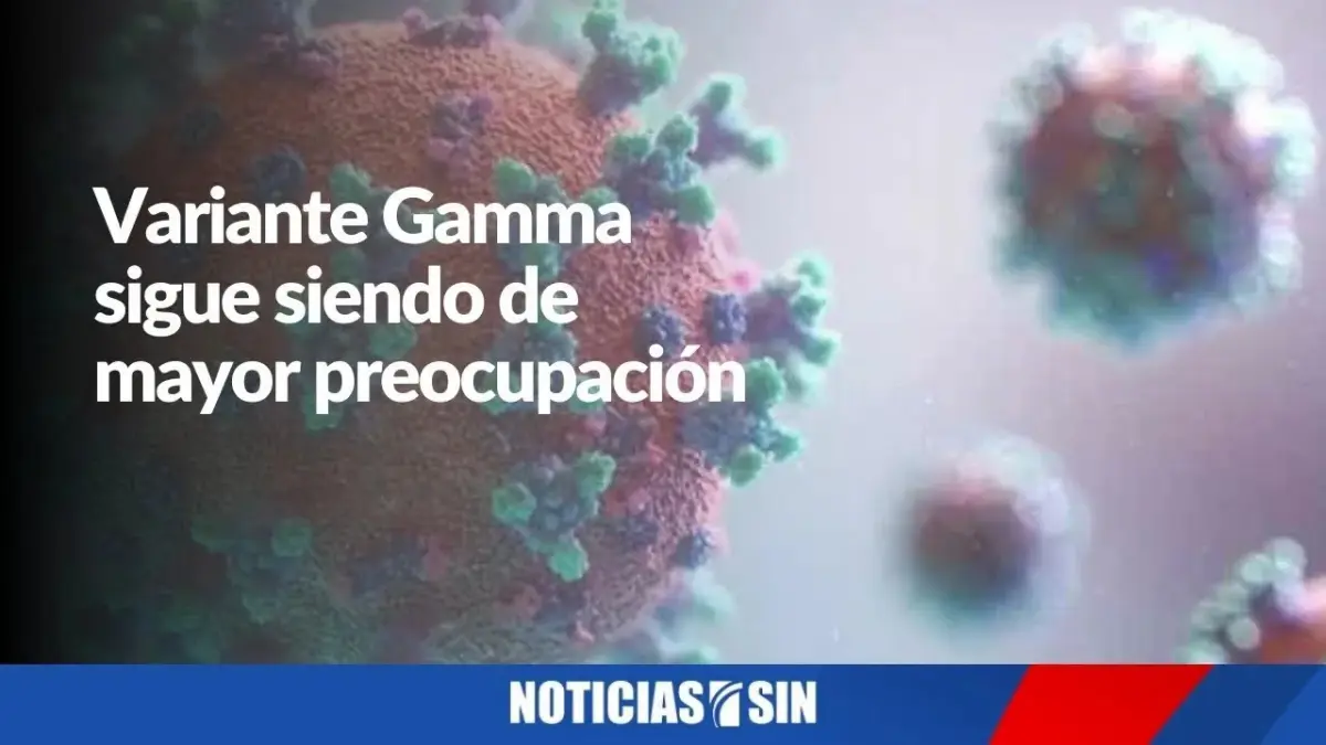 Variante Gamma de mayor preocupación