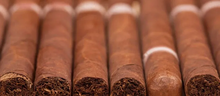 El tabaco representa el 8% de las exportaciones en RD