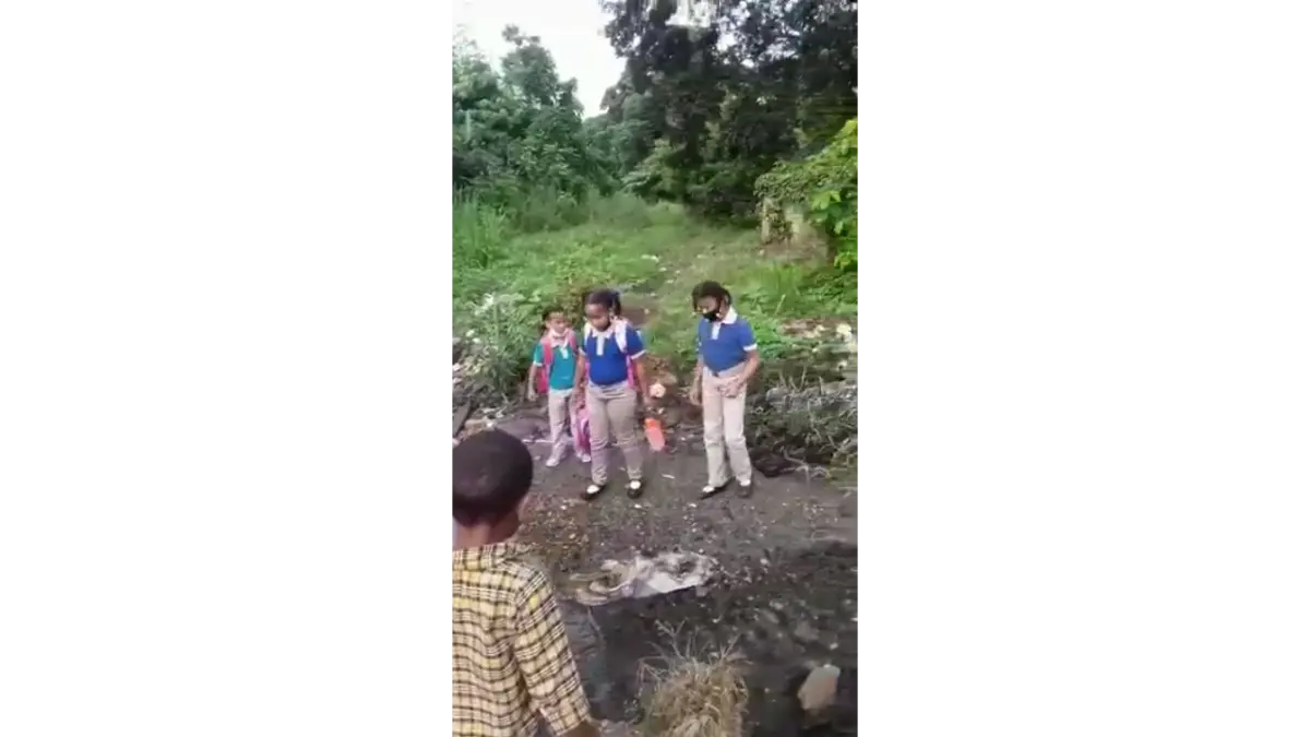 Reclaman reparación de puentes Eduardo Brito I y II en Pedro Brand